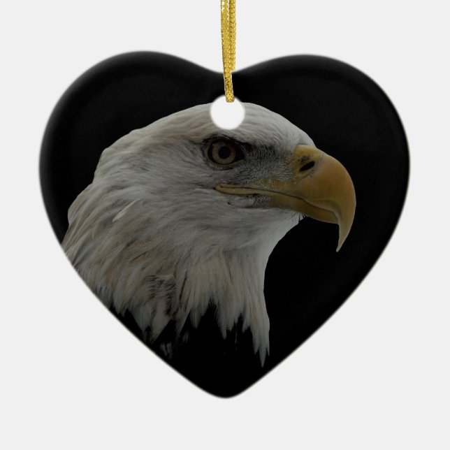 Amerikanska Eagle Leader Motivational Julgransprydnad Keramik (Framsidan)