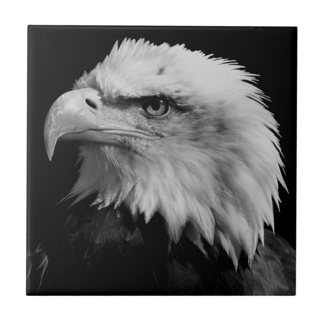 Amerikanska Eagle Leader Motivational Kakelplatta (Framsidan)