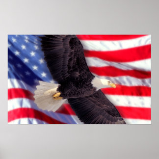 Amerikanska Eagle med amerikansk Flagga Poster