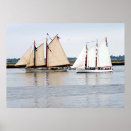 Amerikanska Eagle och Adirondack III Poster