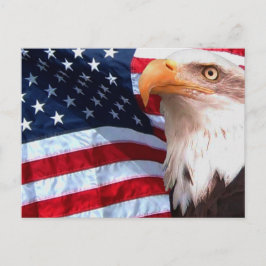 Amerikanska Eagle-vykort 6 Vykort