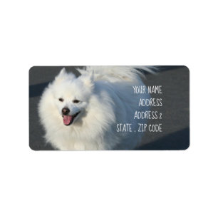 Amerikanska eskimo-adressetiketter adressetikett