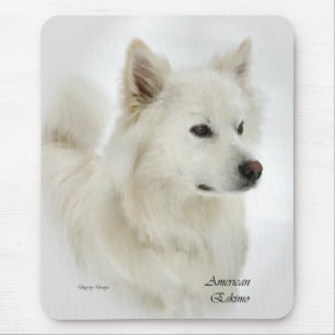Amerikanska eskimo Hund Art-presenter Musmatta