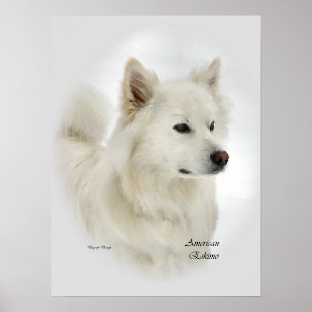 Amerikanska eskimo Hund Art-presenter Poster (Framsidan)