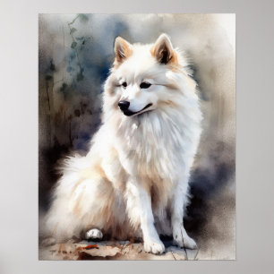 Amerikanska eskimo Hund Art Print Poster