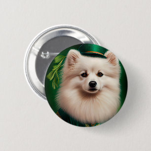 Amerikanska eskimo-hund i St. Patrick Dress Knapp