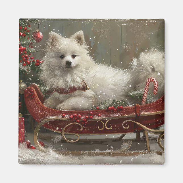 Amerikanska eskimo-Hund julfesten Magnet (Framsidan)