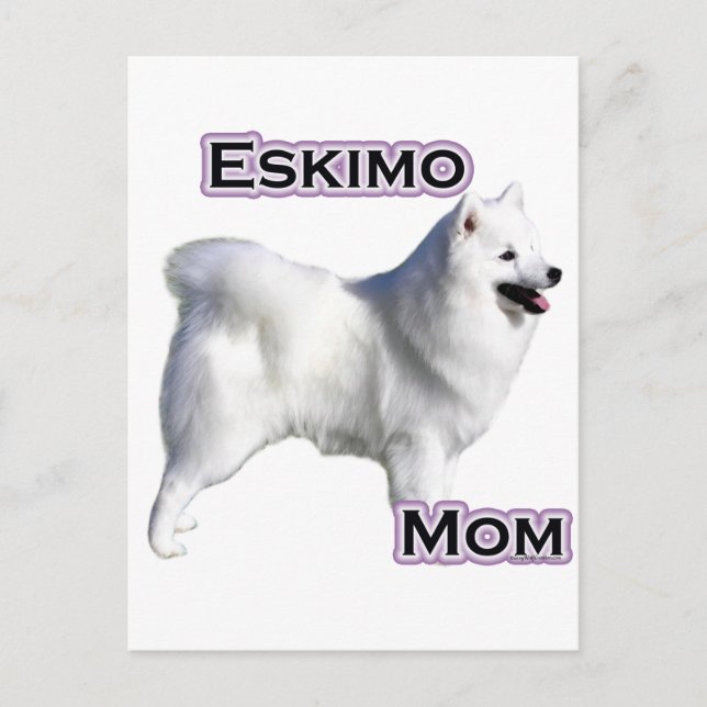 Amerikanska eskimo Hund Mamma 4 Vykort (Framsida)
