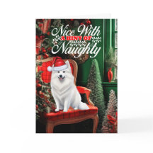 Amerikanska eskimo-Hund Naughty eller Nice