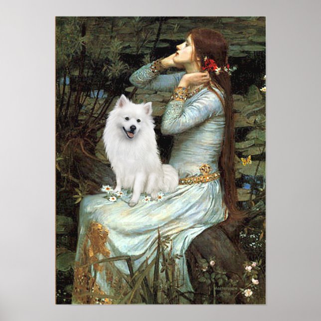 Amerikanska eskimo-Hund - Ophelia Seated Poster (Framsidan)