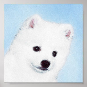 Amerikanska eskimo-Hund - Original Hund Art Poster