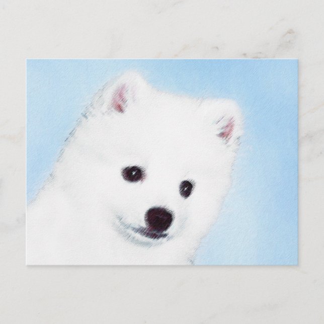 Amerikanska eskimo-Hund - Original Hund Art Vykort (Framsida)