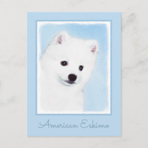 Amerikanska eskimo-Hund - Original Hund Art Vykort