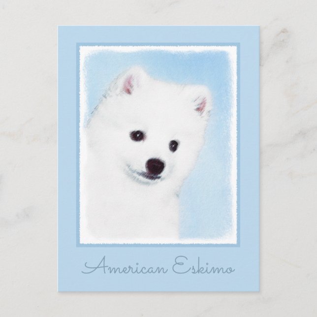 Amerikanska eskimo-Hund - Original Hund Art Vykort (Framsida)
