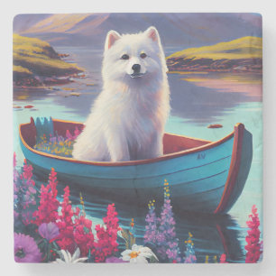 Amerikanska eskimo-Hund på Paddle: En scen Äventyr Stenunderlägg