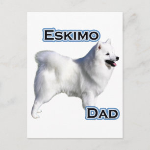 Amerikanska eskimo Hund Pappa 4 Vykort