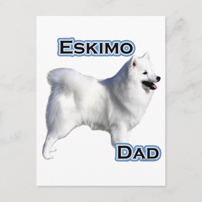 Amerikanska eskimo Hund Pappa 4 Vykort (Framsida)