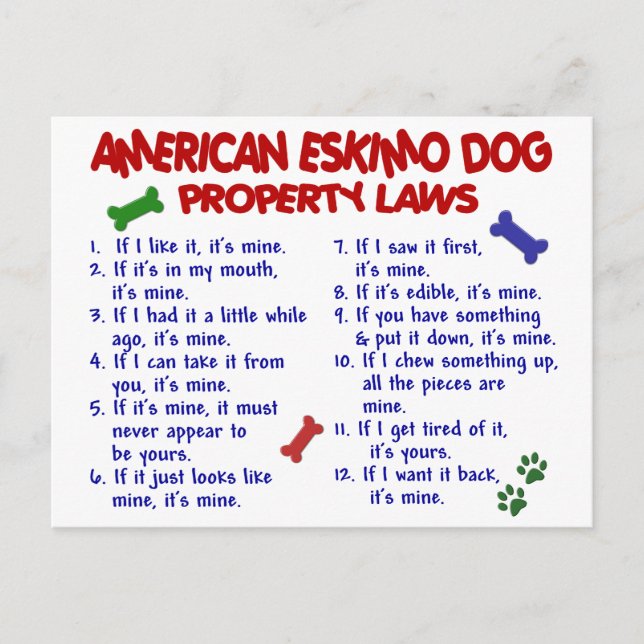 AMERIKANSKA ESKIMO-lagarna HUND Egendom 2 Vykort (Framsida)