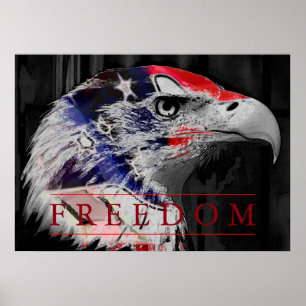 Amerikanska Flagga Freedom American Eagle Poster