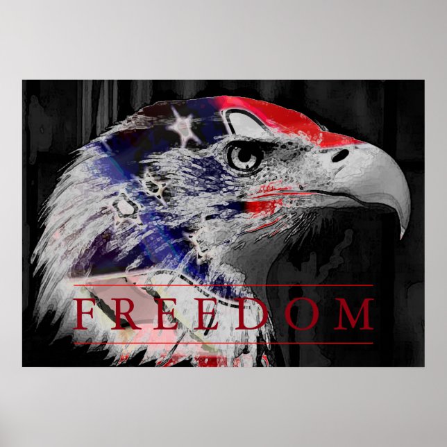 Amerikanska Flagga Freedom American Eagle Poster (Framsidan)