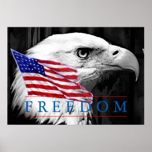 Amerikanska Flagga Freedom Eagle Öga Poster
