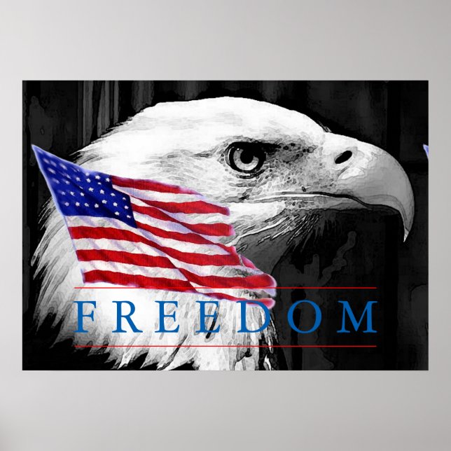 Amerikanska Flagga Freedom Eagle Öga Poster (Framsidan)