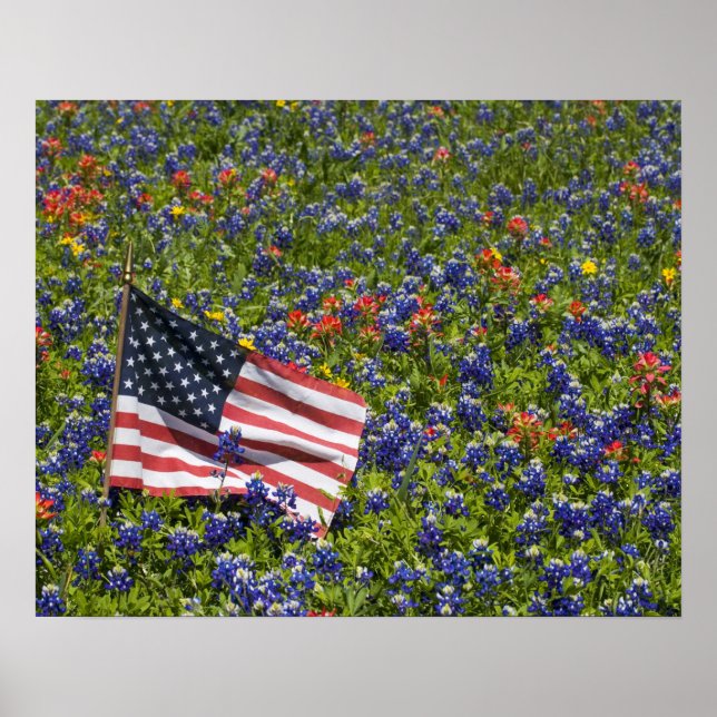 Amerikanska Flagga i fält i Blue Bonnets, 2 Poster (Framsidan)