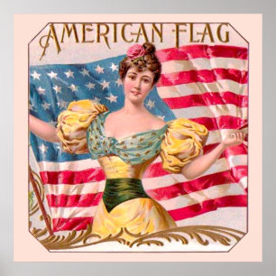 Amerikanska Flagga Liberty Independence Poster