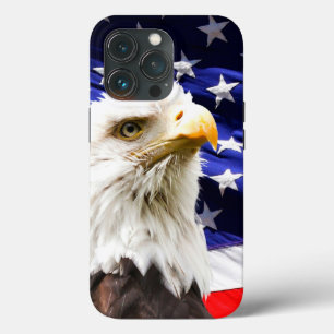 Amerikanska Flagga och Eagle