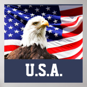 Amerikanska Flagga och Örn Poster