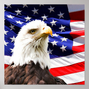 Amerikanska Flagga och Örn Poster
