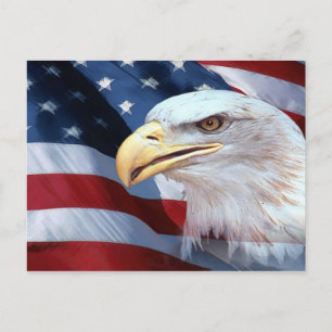 Amerikanska Flagga och Örn Vykort