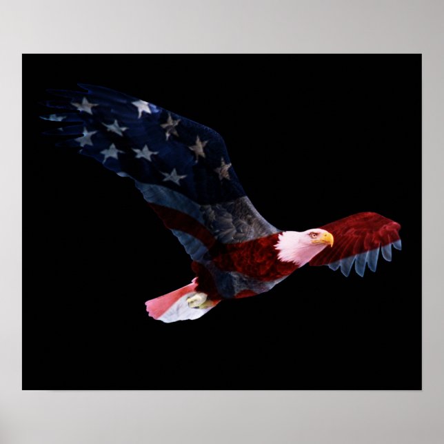 Amerikanska Flagga Örn Poster (Framsidan)