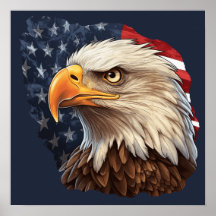 Amerikanska Flagga Örn
