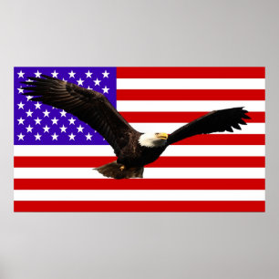 Amerikanska flagga Örn USA Poster