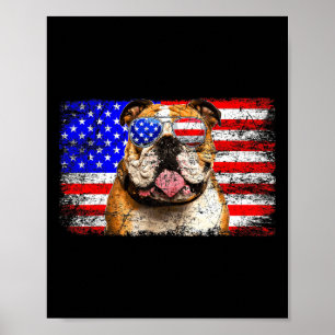 Amerikanska Flagga Usa Fantastisk Poster
