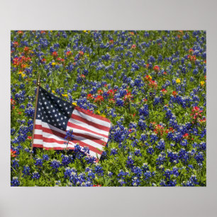 Amerikanska flaggan i fält av blått sätta på en poster