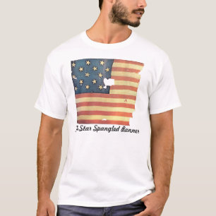 Amerikanska flaggan med 15 stjärnor - stjärnan t shirt