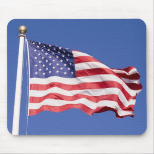 Amerikanska flaggan musmatta