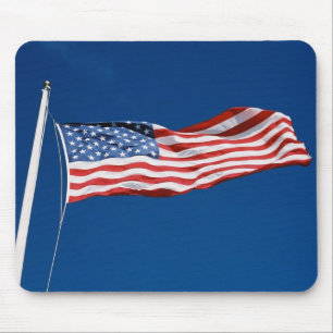 Amerikanska flaggan musmatta