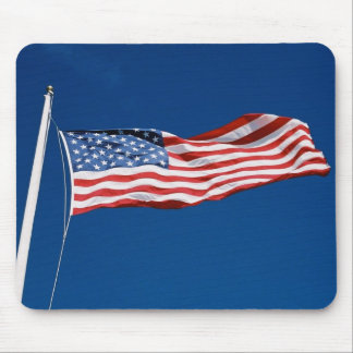 Amerikanska flaggan musmatta