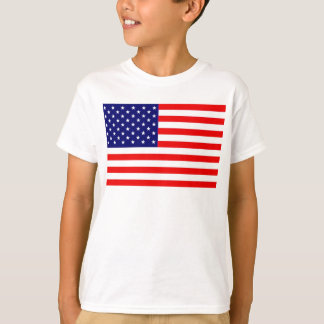 Amerikanska flaggan tröja