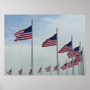 Amerikanska Flaggor vid Washington Monument Poster