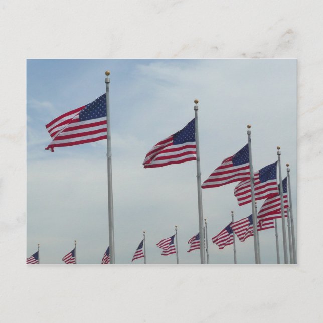 Amerikanska Flaggor vid Washington Monument Vykort (Framsida)