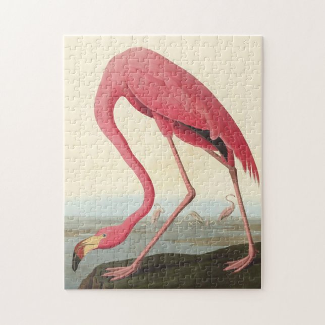 Amerikanska Flamingo ~ John James Audubon 11 x 14 Pussel (Vertikal)
