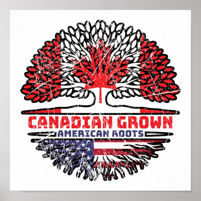 Amerikanska Förenta staterna, Förenta staterna, Ka Poster (Framsidan)