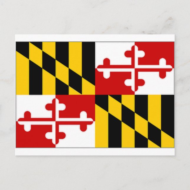 Amerikanska Förenta Staterna Maryland Flagga Vykort (Framsida)