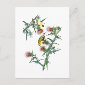 Amerikanska Goldfinch John Audubon Birds of Americ Vykort