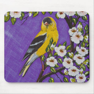 Amerikanska Goldfinch Musmatta