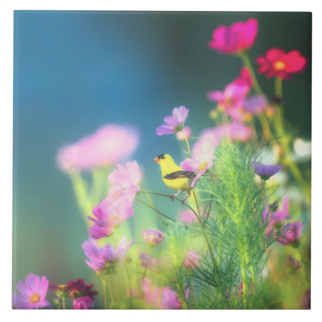 Amerikanska Goldfinch och Coreopsis Kakelplatta (Framsidan)